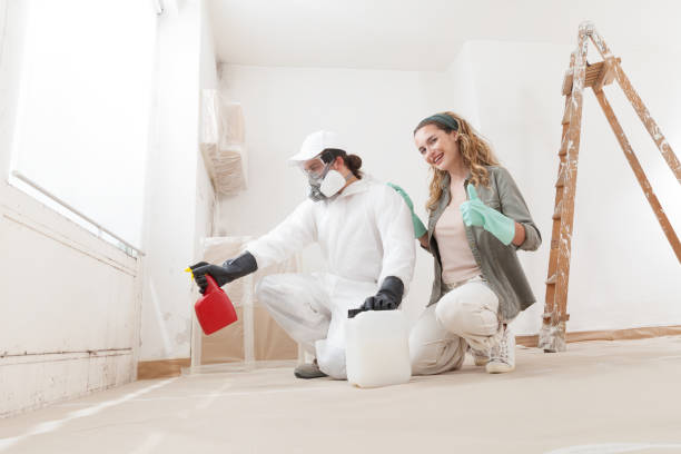 Best Water Damage & Mold Remediation  in USA